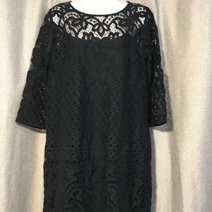 New! Loft Outlet Blue Lace Dress Size 10 Reg $89